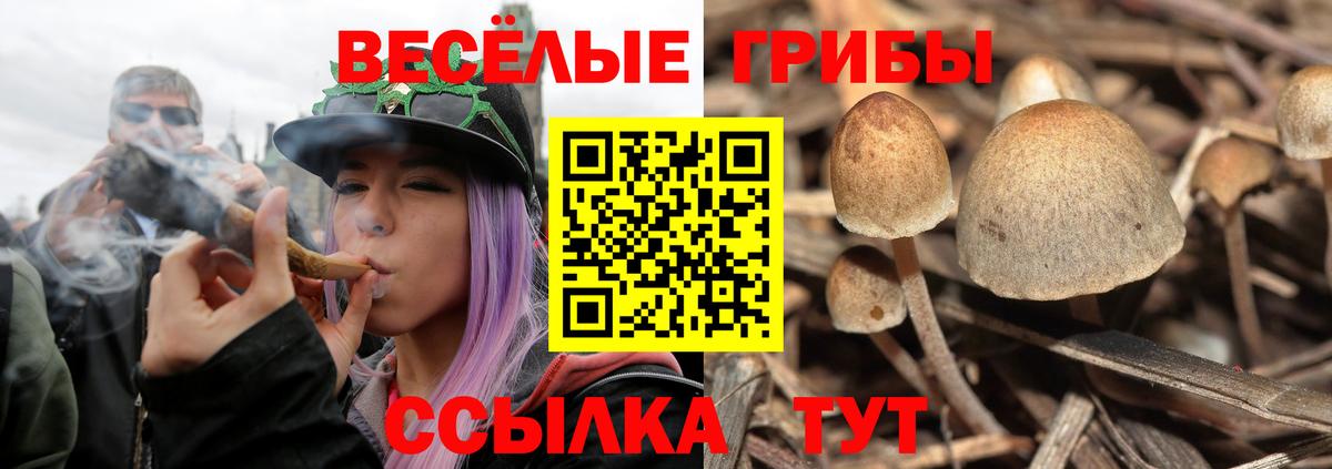 Галлюциногенные грибы Psilocybe  Вход с VPN  Ханты-Мансийск  Галлюциногенные грибы прущие грибы 